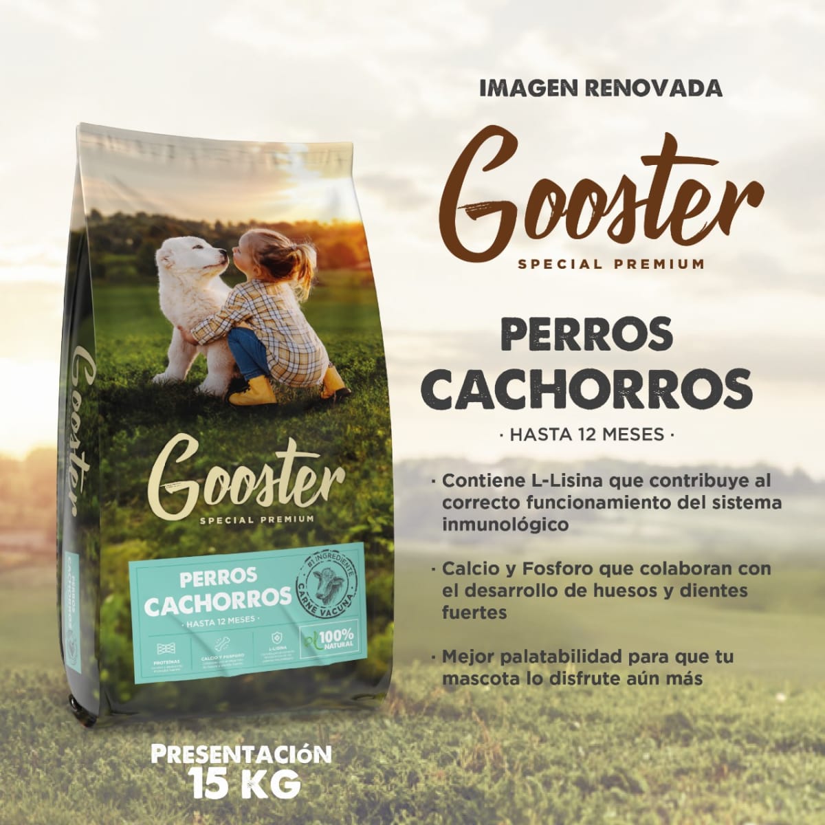 GOOSTER PERRO CACHORRO 15 KG2