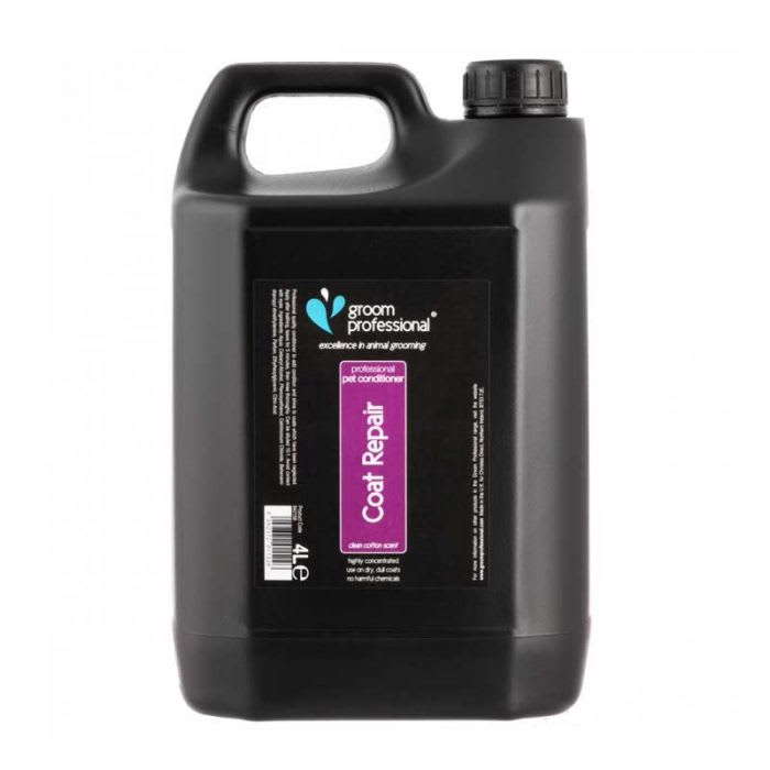 ACONDICIONADOR GROOM PROFESSIONAL REPARADOR 4 LT 10:11