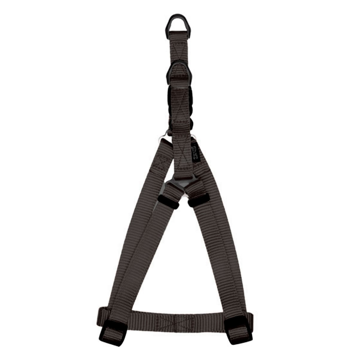 ZEUS ARNES FIG.A M GRAFITO1