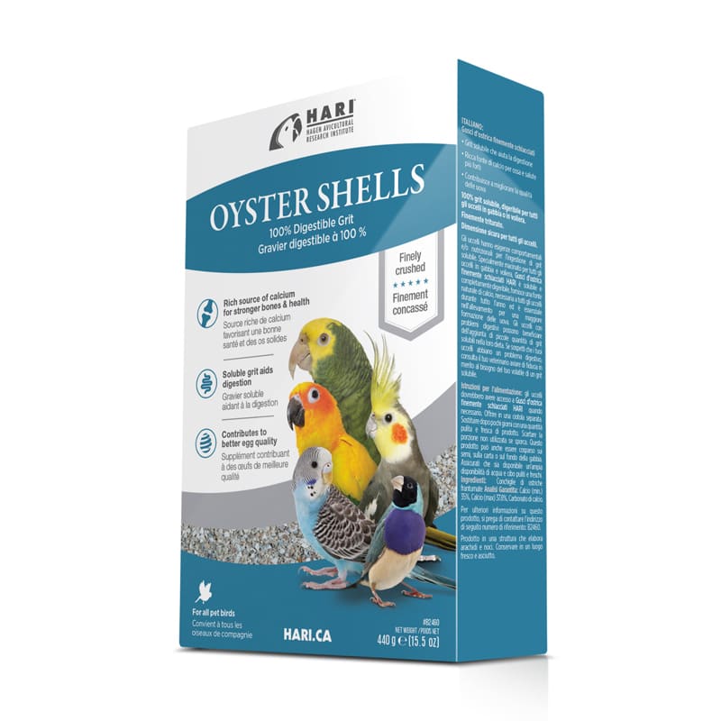 HARI CONCHAS DE OSTRAS MACHACADAS1