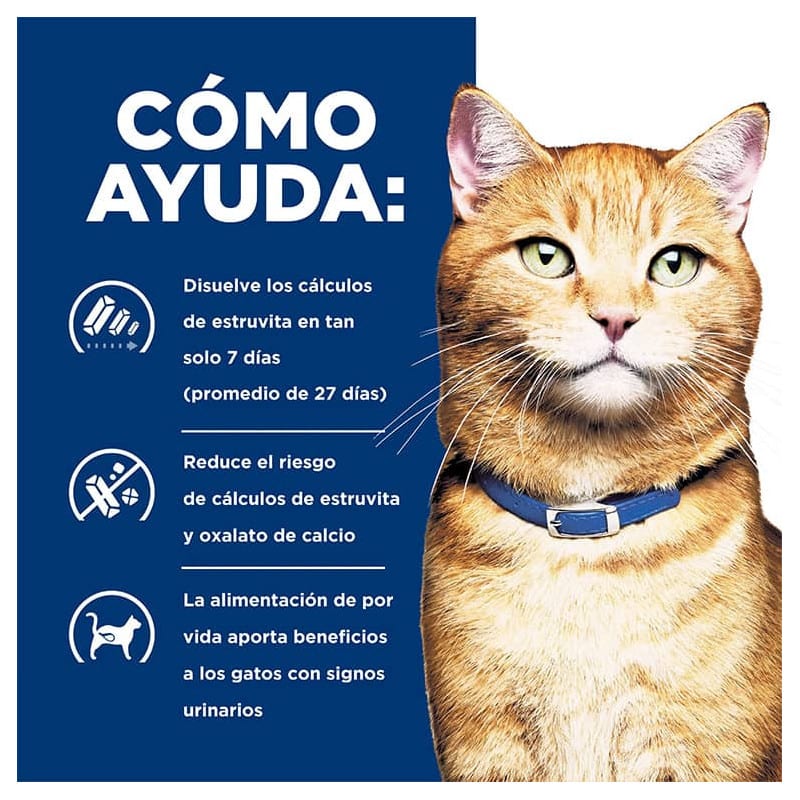 HILLS LATA C/D URINARY CARE FELINO 156 GR2