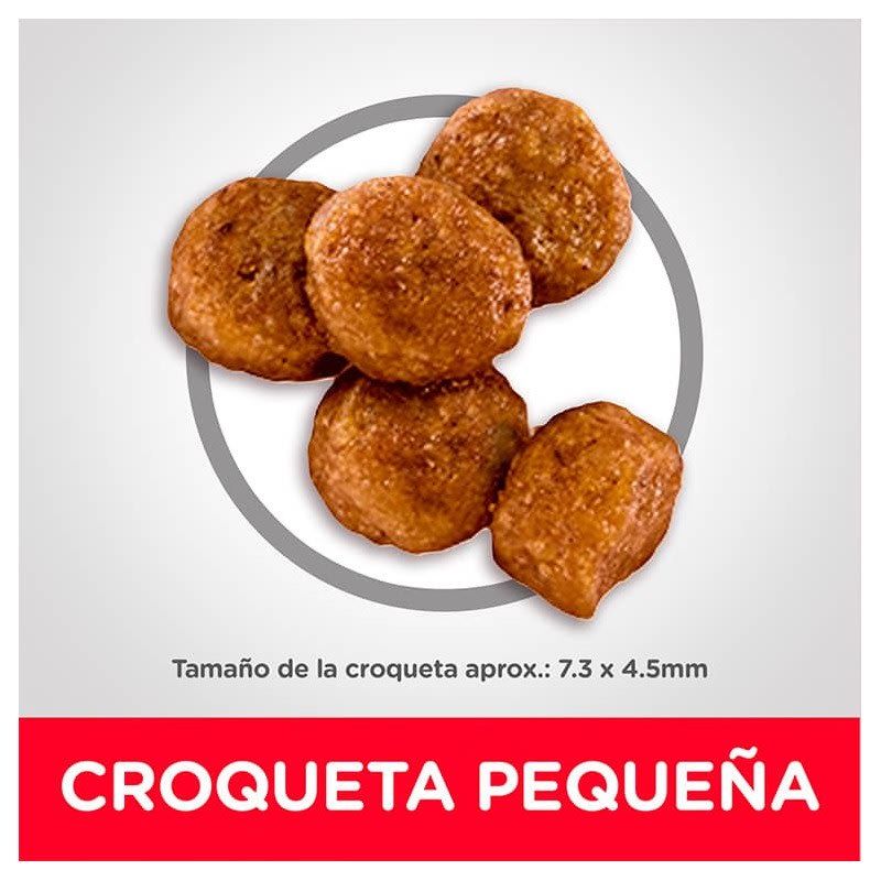 HILL PERRO PUPPY SMALL BITE 2.04 KG4