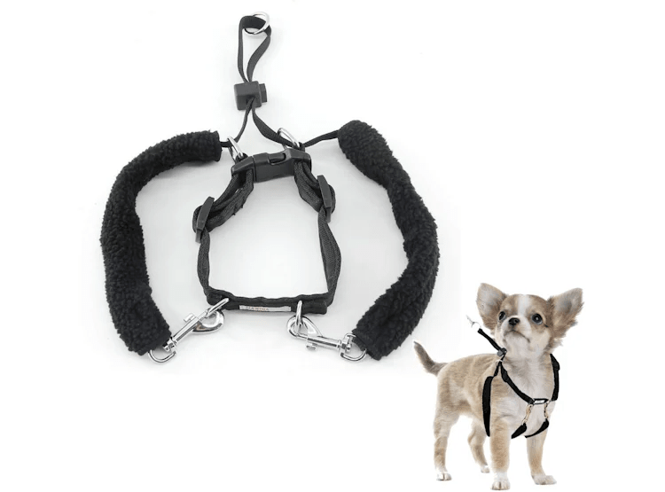 PAWISE ARNES ENTRENAMIENTO XS2