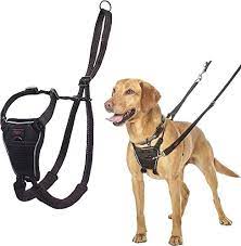 Coa Halti No Pull Harness M, 34-56 Cm, Negro2