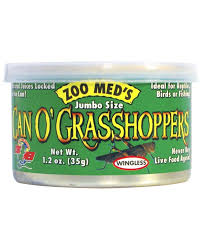 LATA DE SALTAMONTES1