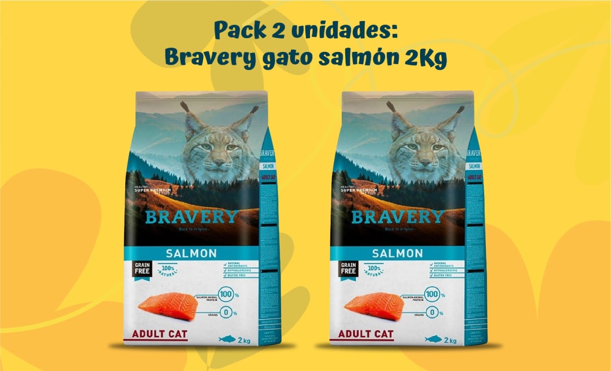 BRAVERY GATO SAMON 2 KG - PACK 2 UNIDADES1