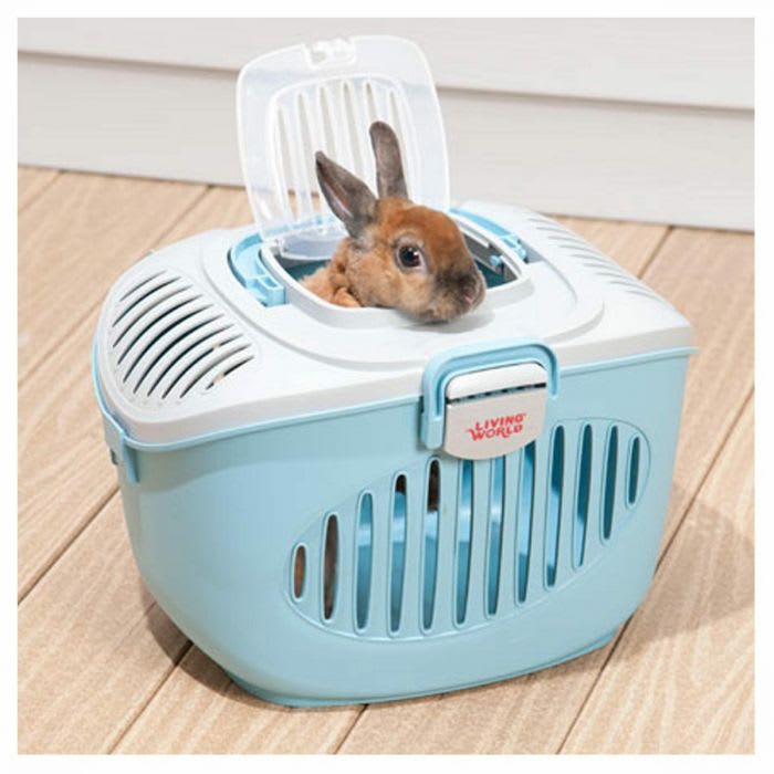 LIVING WORLD TRANSPORTADORA  SALMON/GRIS1