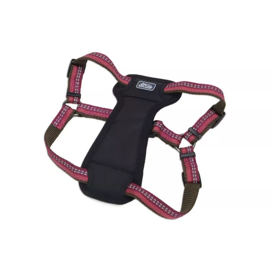 COASTAL K9 EXPLORER ARNES ACOLCHADO GUINDA M1