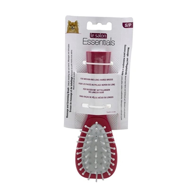 LE SALON ESSENTIALS CEPILLO MASAJE L1