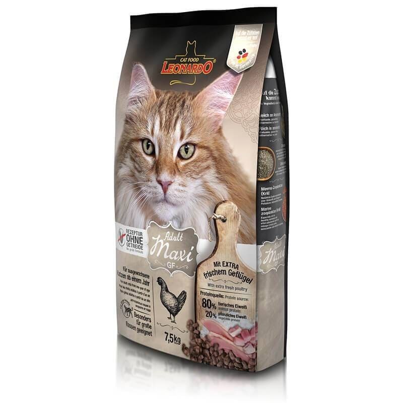 LEONARDO ADULT GF MAXI1