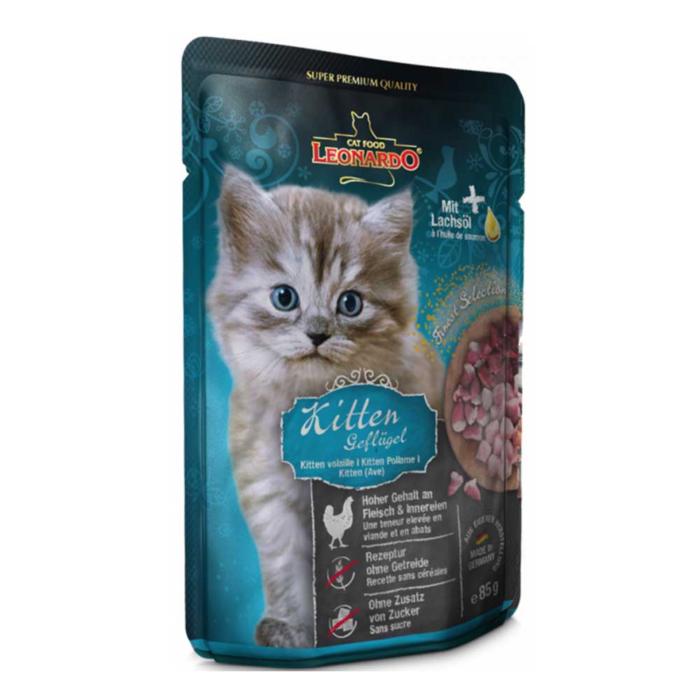 LEONARDO KITTEN AVE1