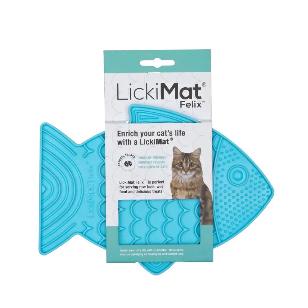 LM FELIX TURQUOISE FOR CAT1