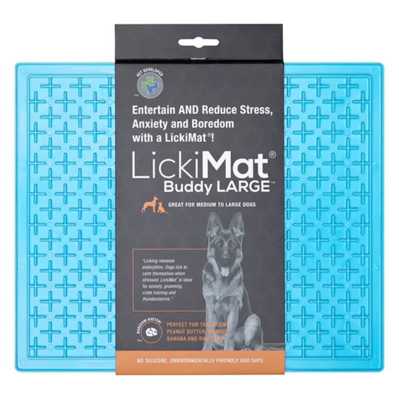 LM BUDDY LARGE TURQUOISE FOR DOG1