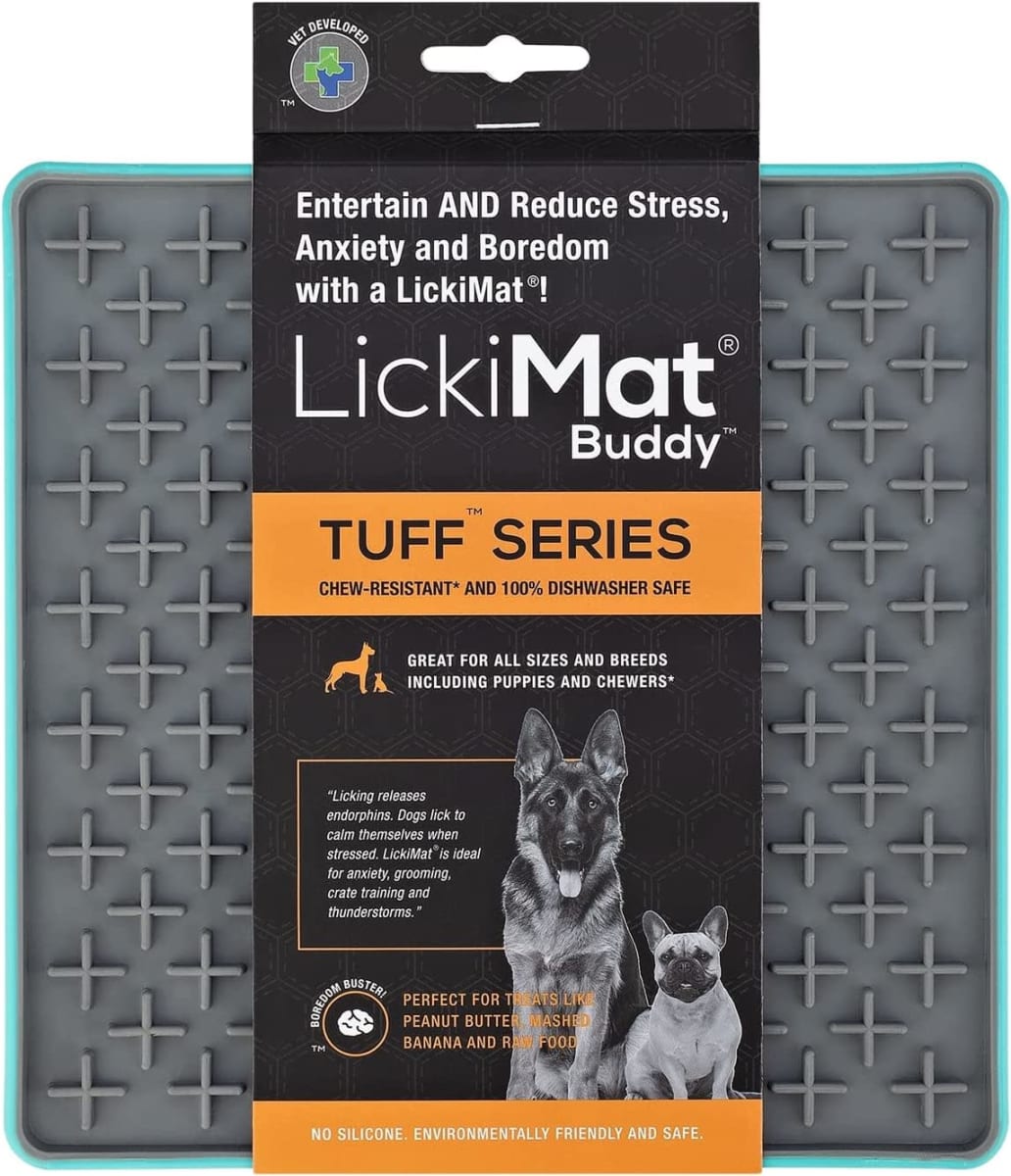 LM BUDDY TUFF TURQUOISE FOR DOG1