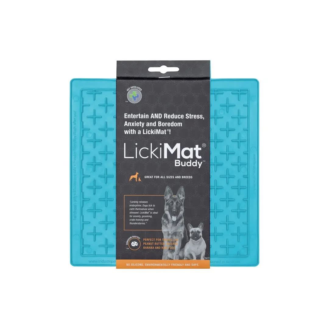 LM BUDDY TURQUOISE FOR DOG1