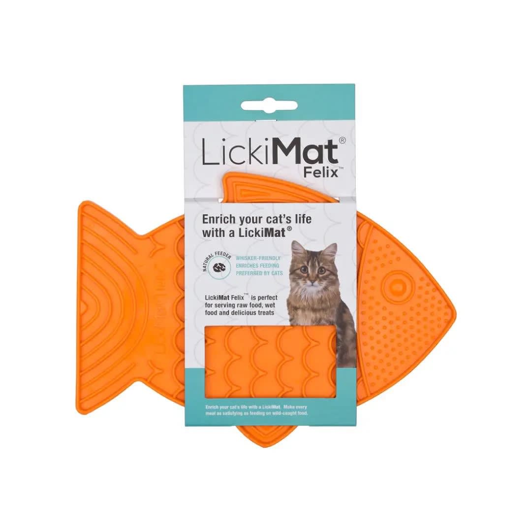 LM FELIX ORANGE FOR CAT1