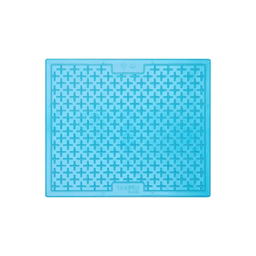 LM BUDDY LARGE TURQUOISE FOR DOG2