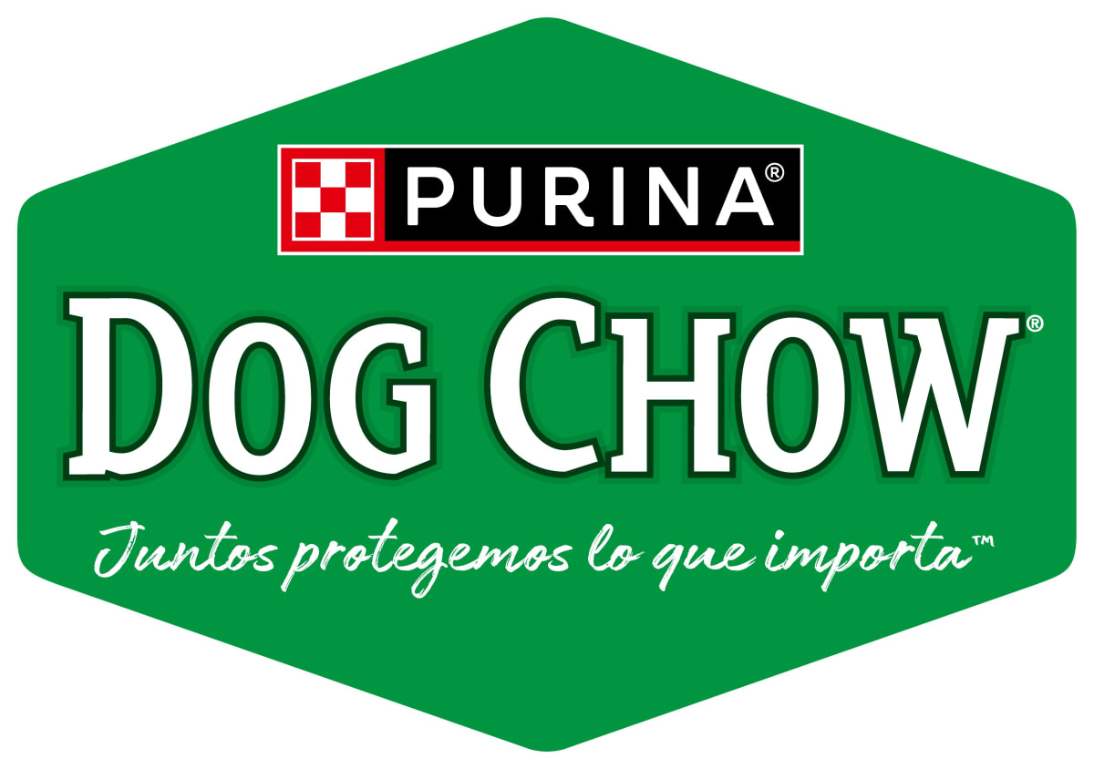 CAJA DOG CHOW SACHET ADULTO CARNE & ARROZ X15 UN3