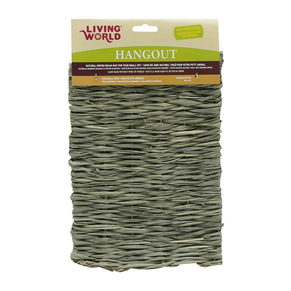 LIVING WORLD ESTERA PAJA LARGE1