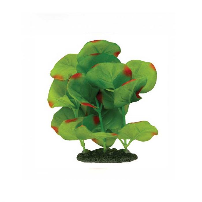 MARINA NATURALS PLANTA SEDA VERDE Y ROJA LARGE1