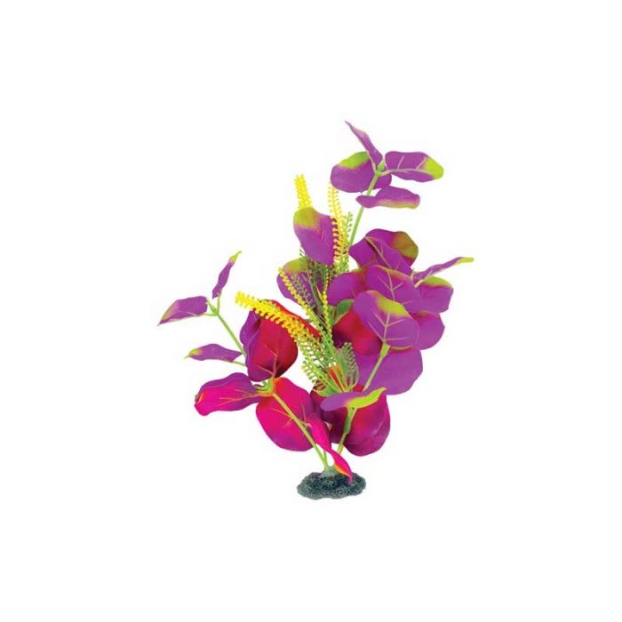 MARINA NATURALS PLANTA SEDA INDIGO Y ROJO MEDIUM1