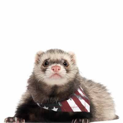 PAÑUELO HURON EEUU1