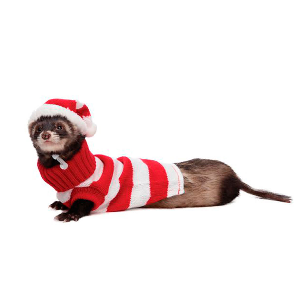 GORRO Y SWETER HURON1