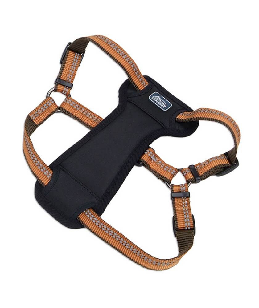 COASTAL K9 EXPLORER ARNES ACOLCHADO NARANJA L1