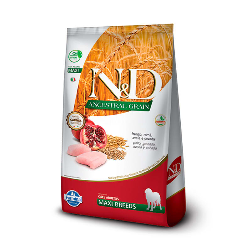 N&D ANCESTRAL POLLO PERRO ADULTO MAXI 10 KG1