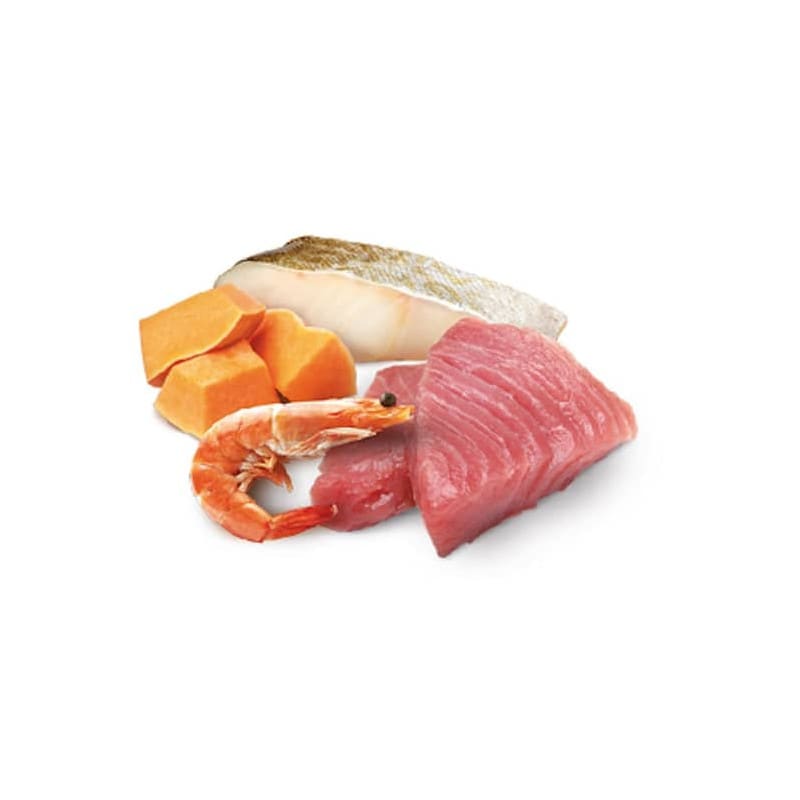 N&D OCEAN LATA GATO ATÚN PUMPKIN KITTEN 80 GR2