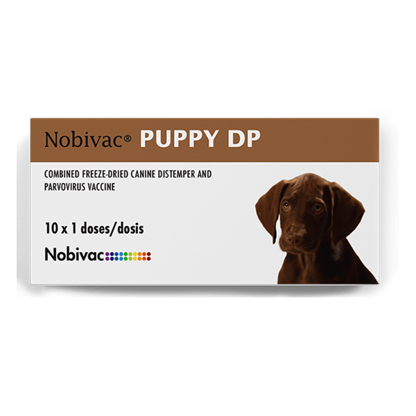 NOBIVAC PUPPY DP - CAJA 10 DOSIS1