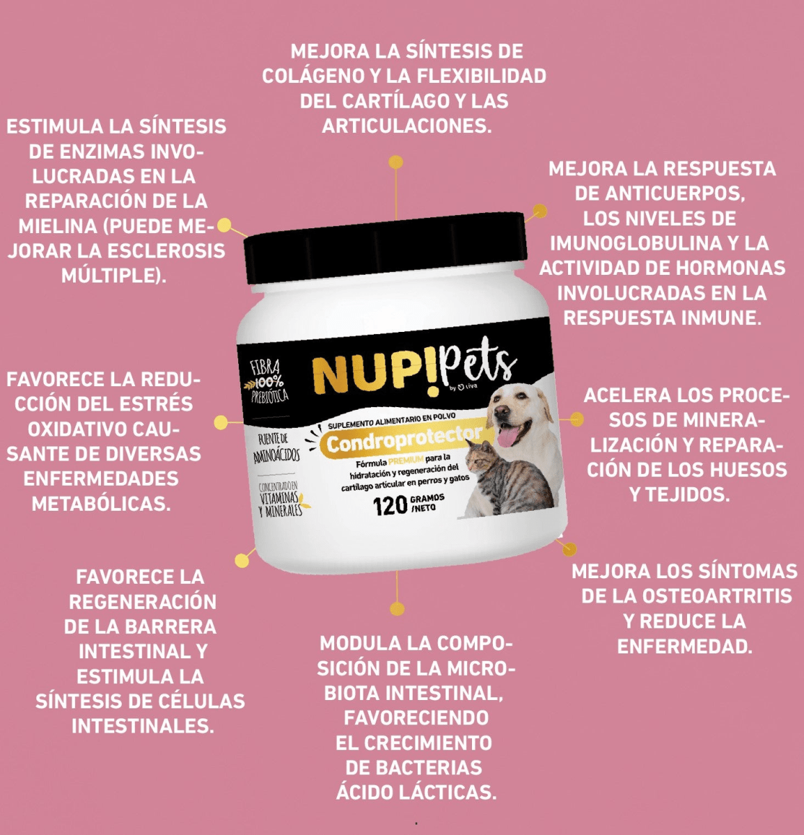NUP! PETS CONDROPROTECTOR 120 GR2