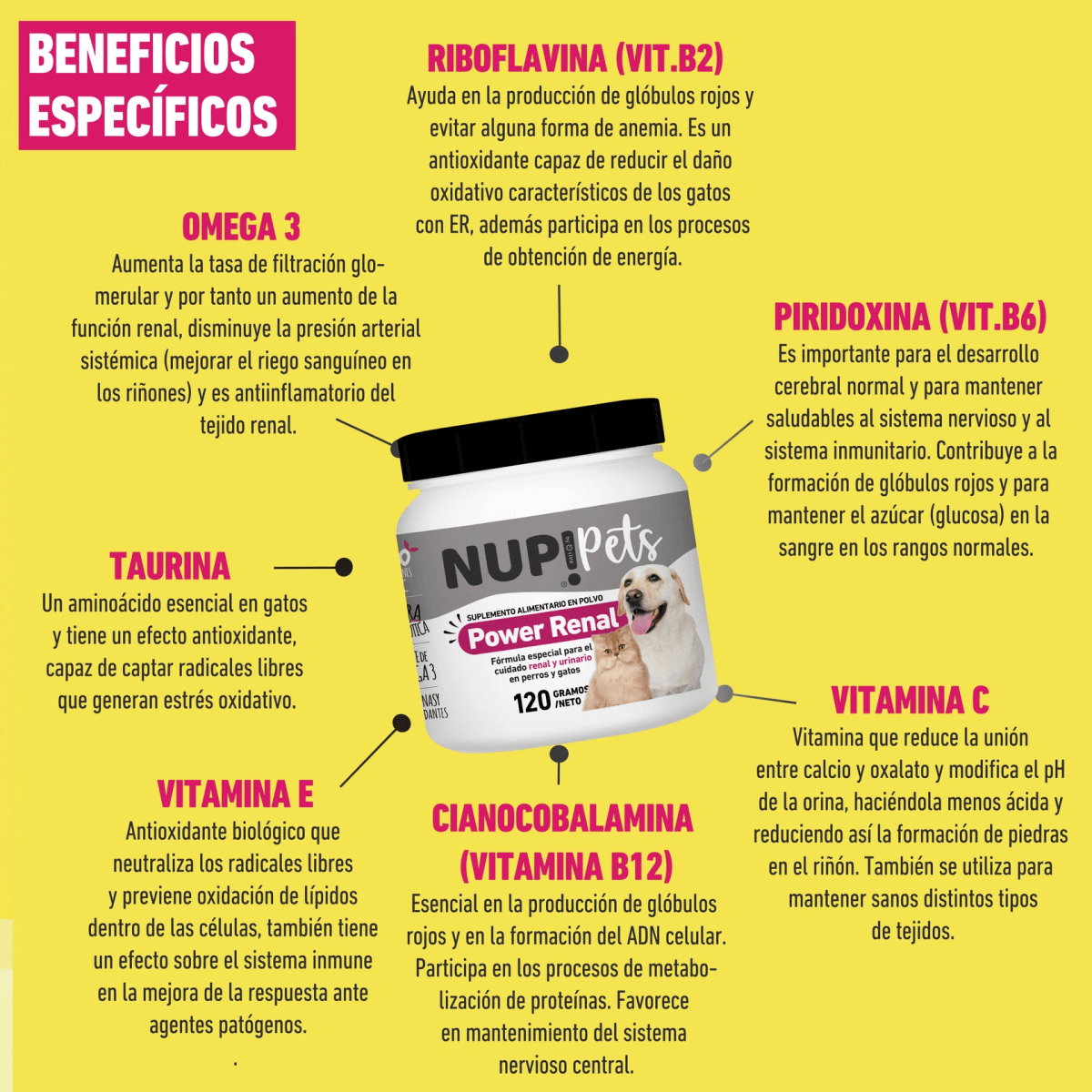 NUP! PETS POWER RENAL 120 GR 120G2