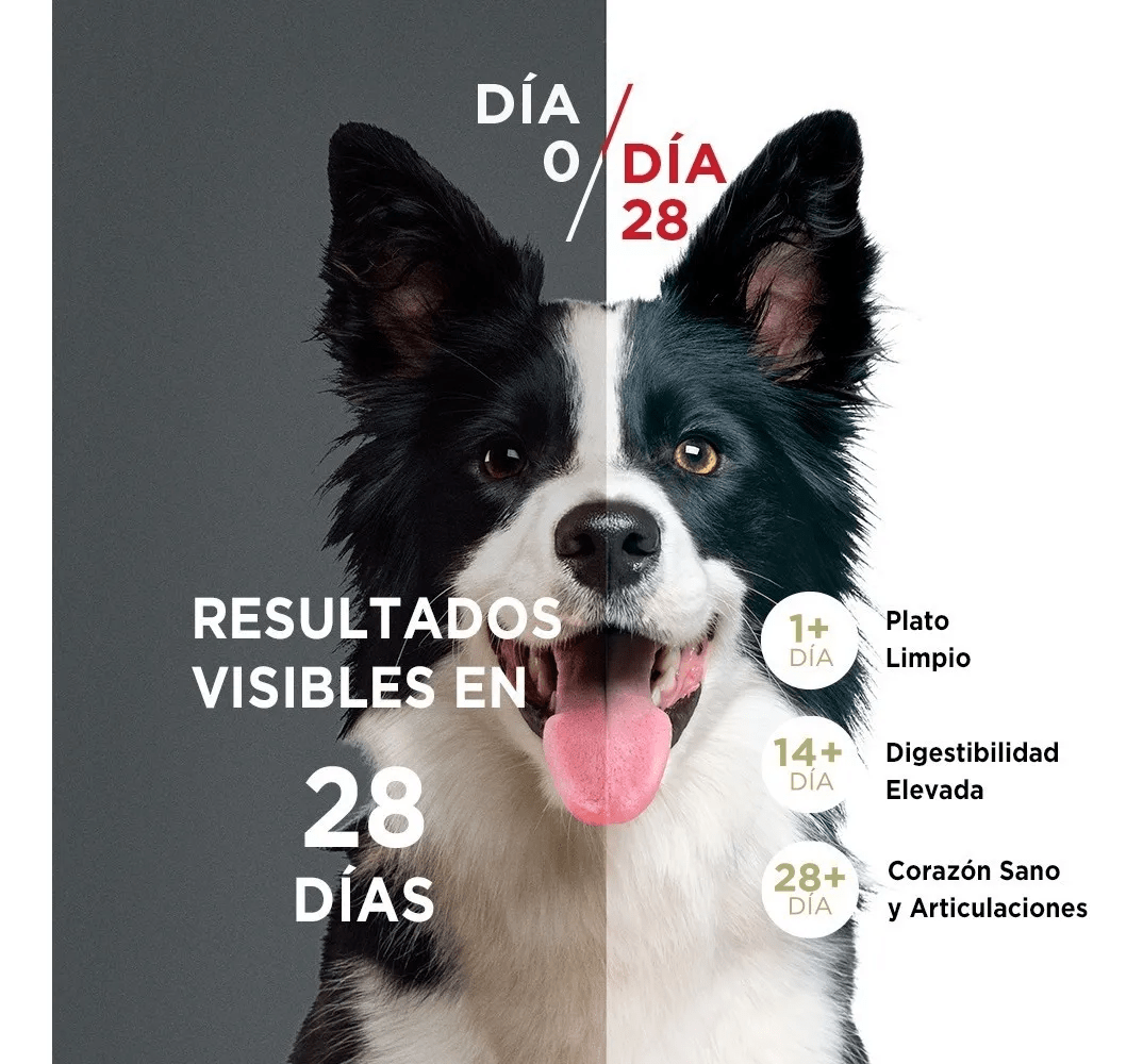 PURINA ONE PERRO ADULTO RAZA MEDIANA CARNE 6 KG2