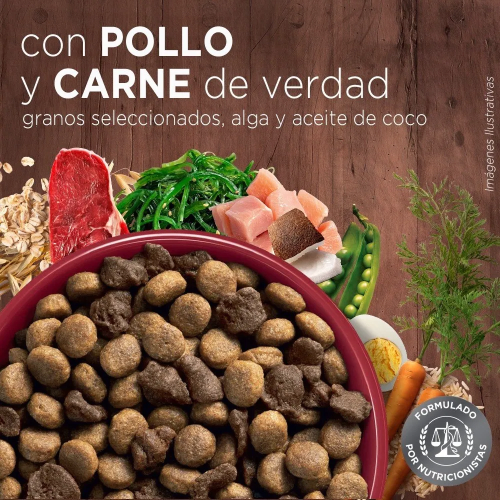 PURINA ONE PERRO CACHORRO TODOS LOS TAMAÑOS POLLO Y CARNE 12 KG3