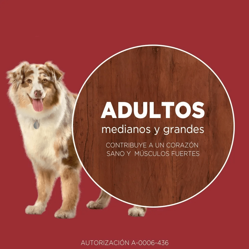PURINA ONE PERRO CACHORRO TODOS LOS TAMAÑOS POLLO Y CARNE 12 KG4