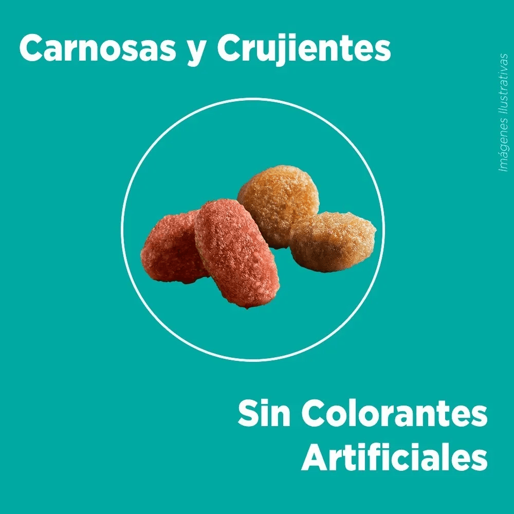 PURINA ONE GATO ESTERILIZADO SALMON 6 KG4