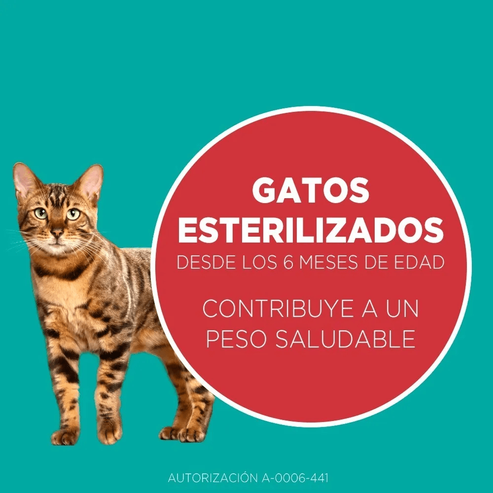 PURINA ONE GATO ESTERILIZADO SALMON 6 KG5