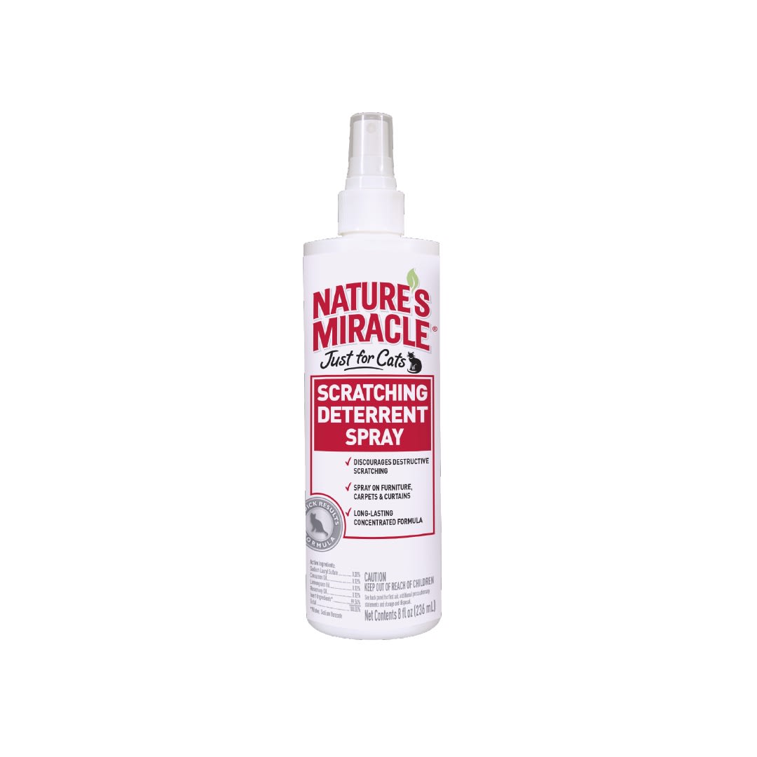 NM JFC NO SCRATCH / NO RASGUÑOS, 236 ML1
