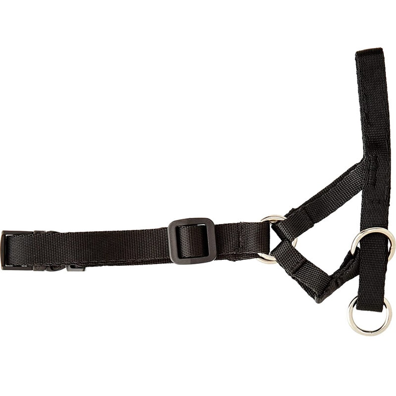 PAWISE CABESTRO XXL3