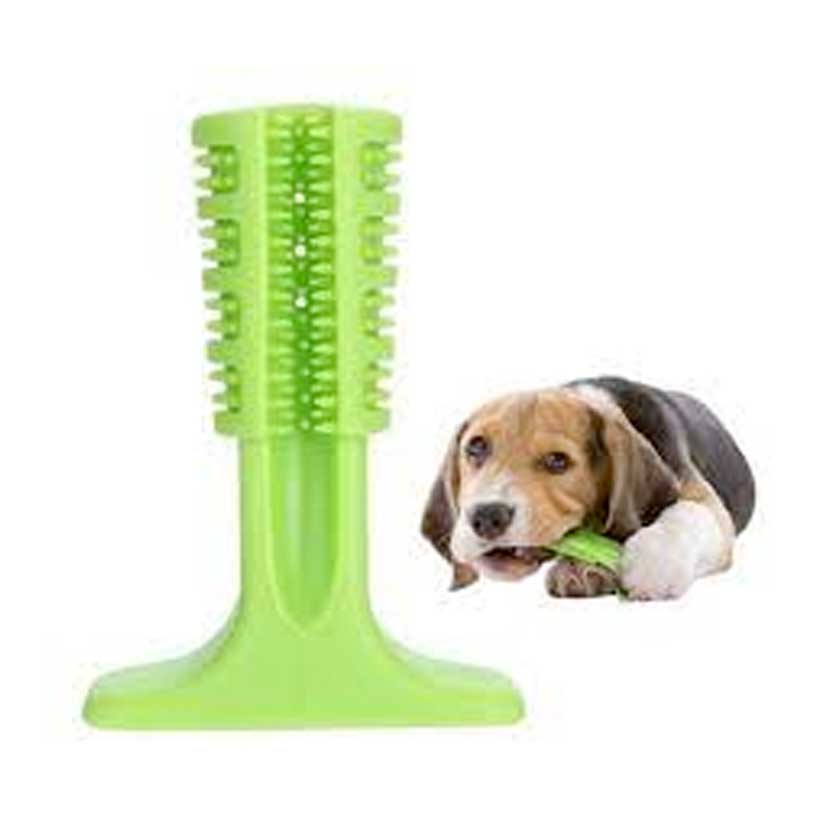 PAWISE CEPILLO DIENTES CHEWY M2