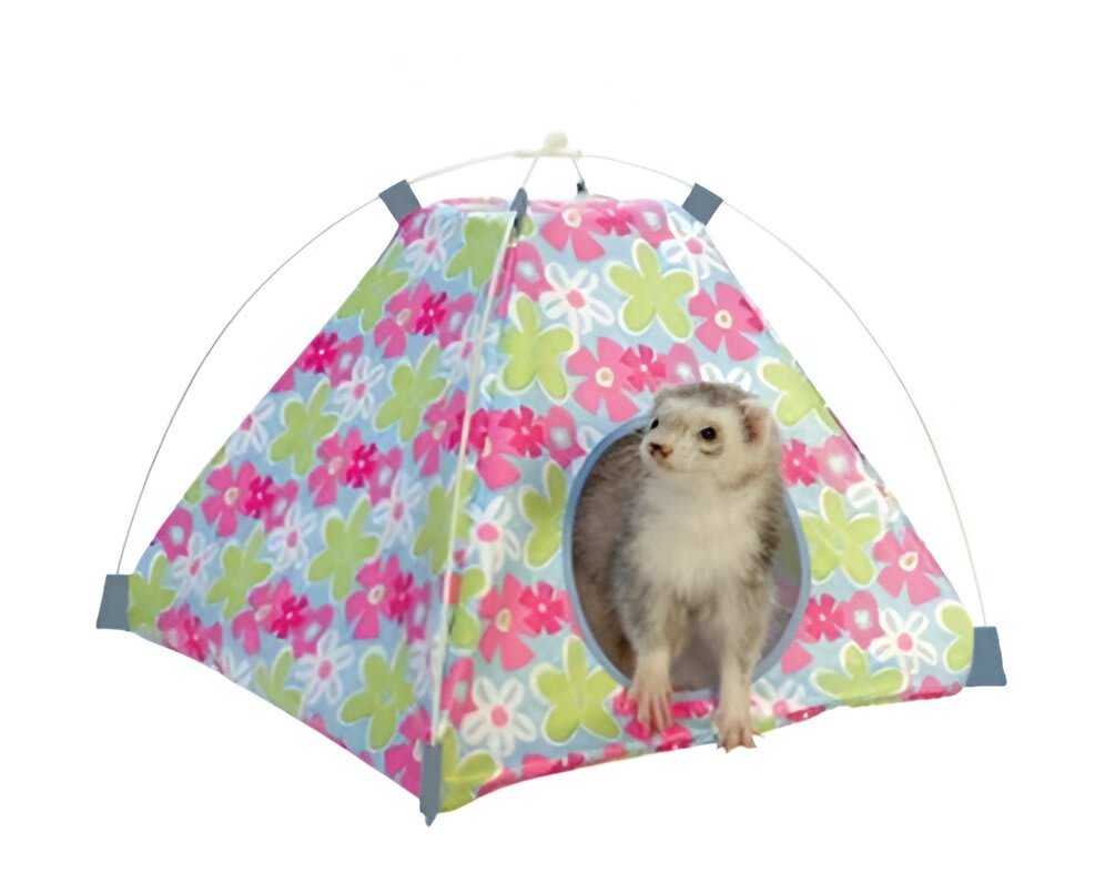 CARPA HURON CONNECT AND PLAY1