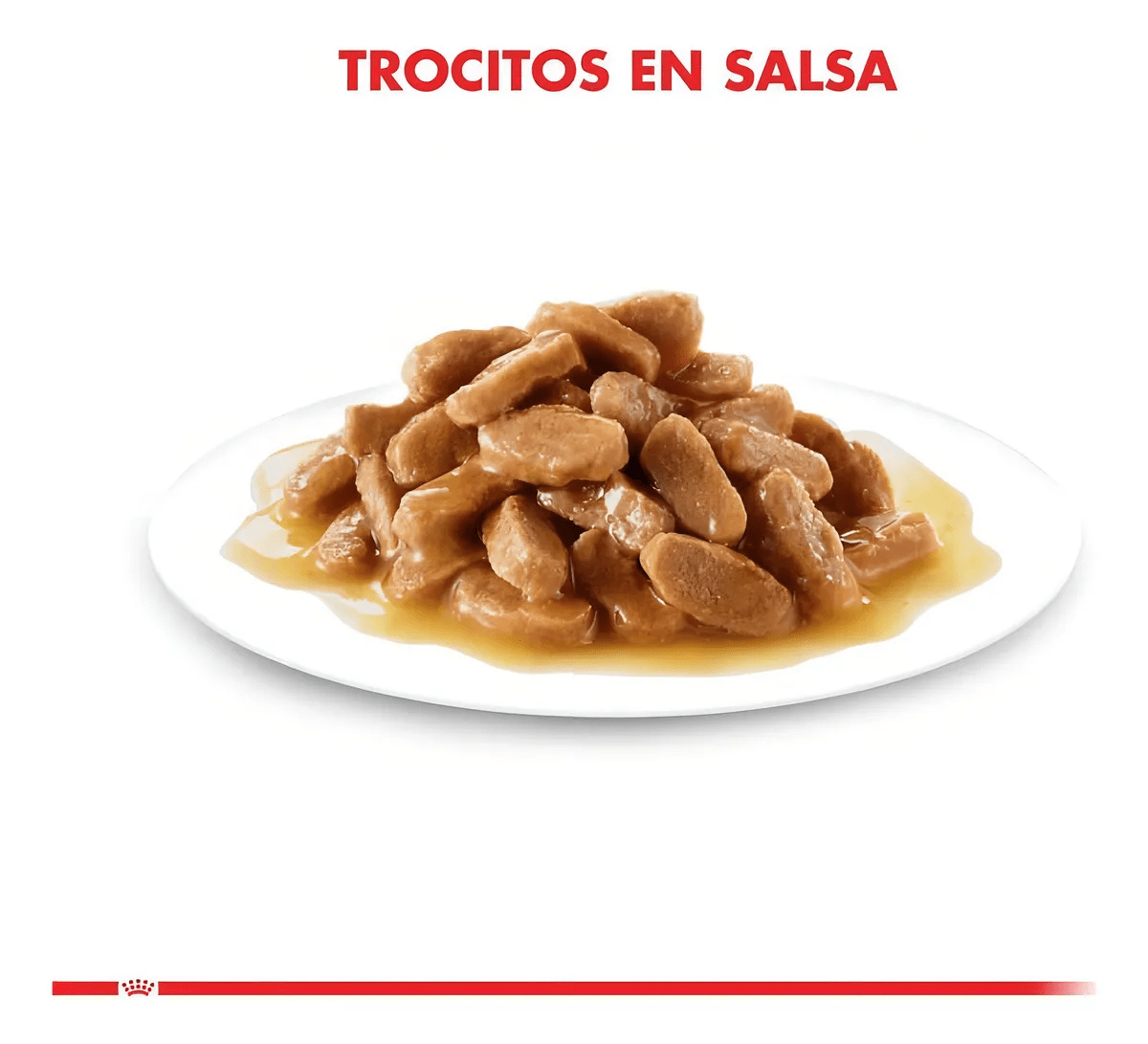 CAJA ROYAL CANIN MINI ADULTO POUCH X 12 UN 85 GR3