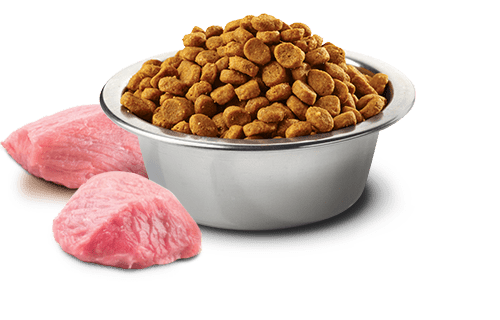 N&D PRIME PERRO ADULTO MINI POLLO Y GRANADA 2.5 KG2