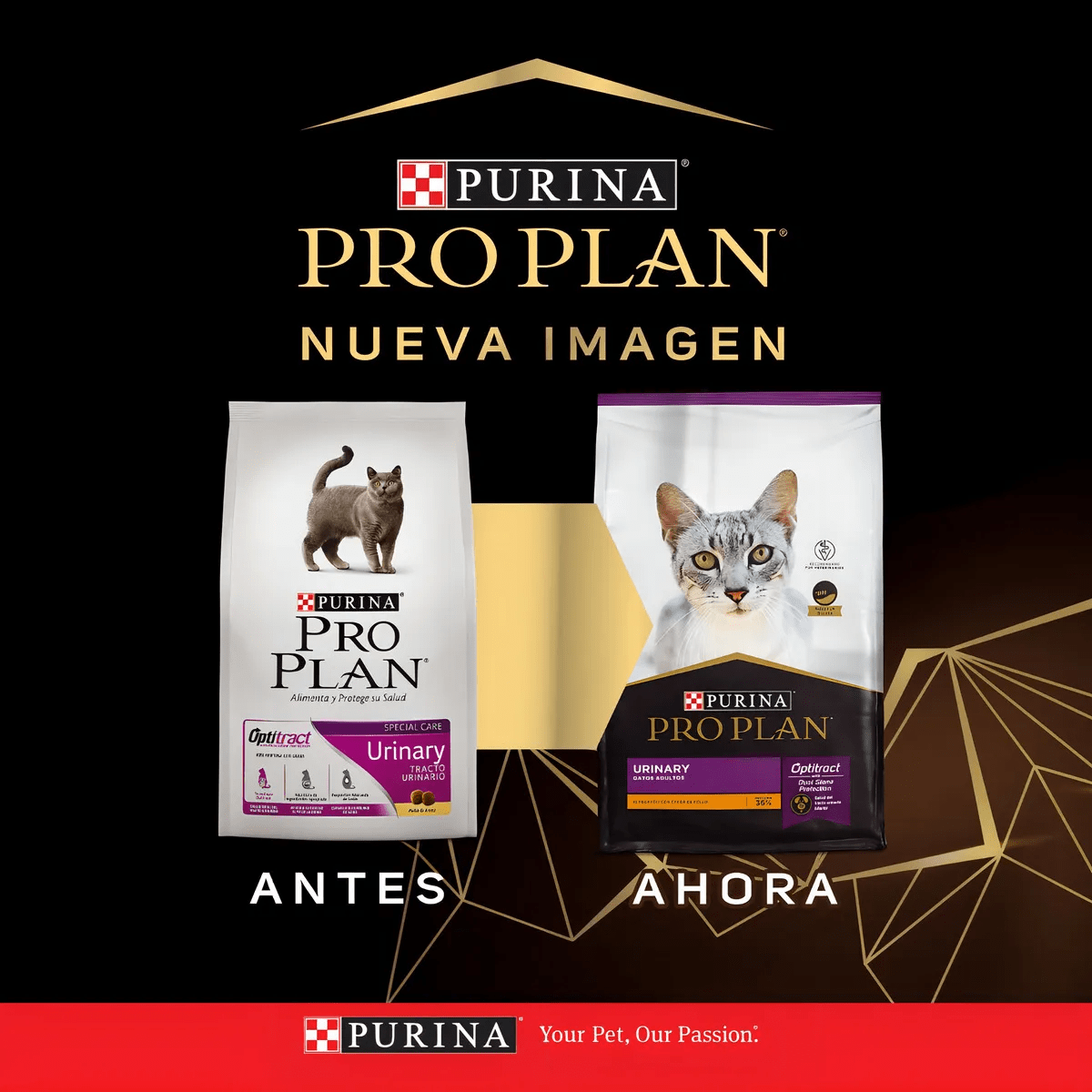 PRO PLAN GATO URINARY 1 KG2