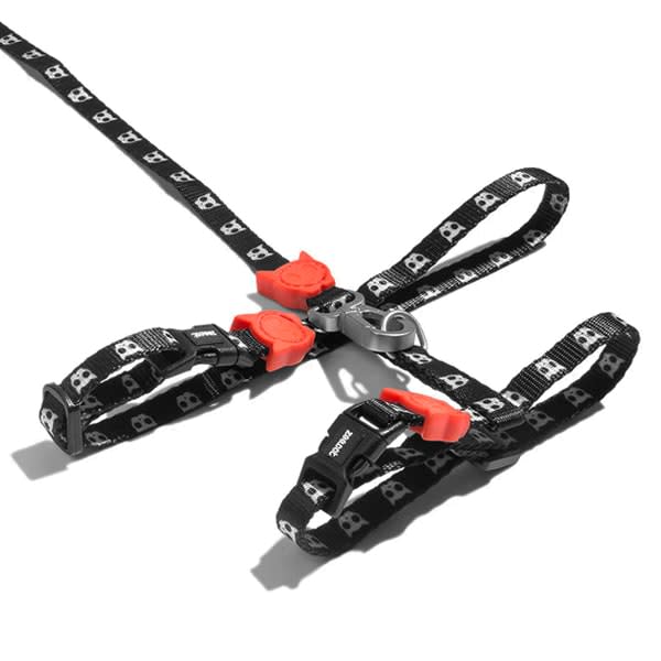 SKULL 2.0 HARNESS + LEASH SET1