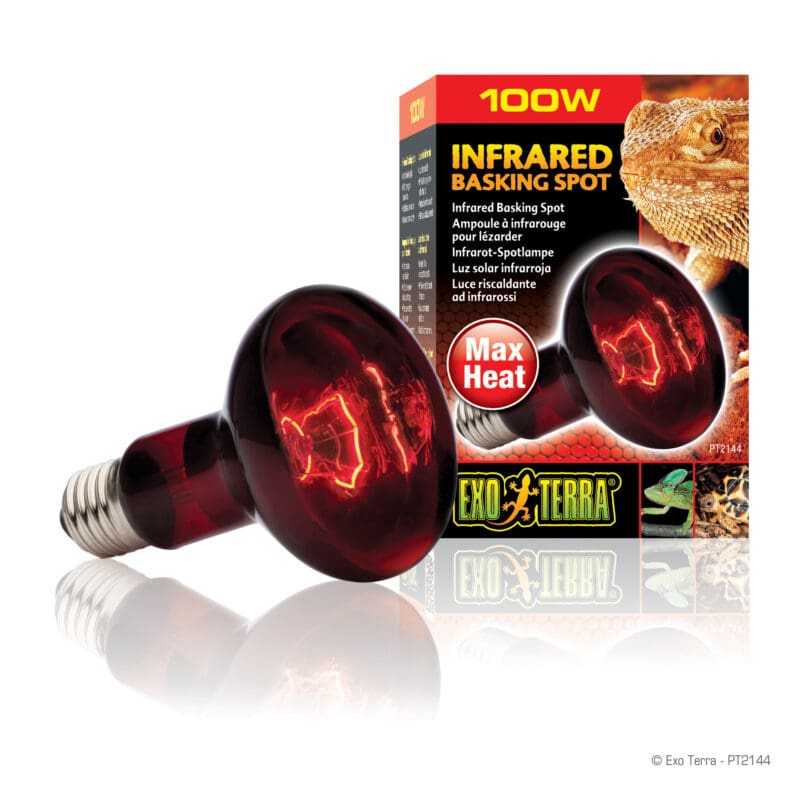 EXO TERRA AMPOLLETA HEAT GLO INFRARROJA 100W2