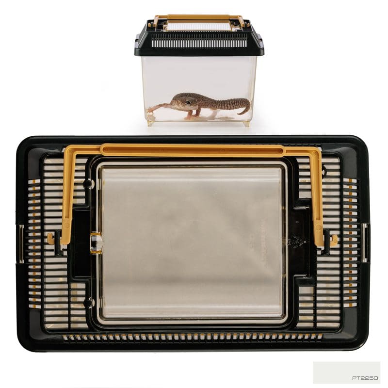 EXO TERRA FAUNARIUM PLASTICO MINI 18X11X12.5CM3