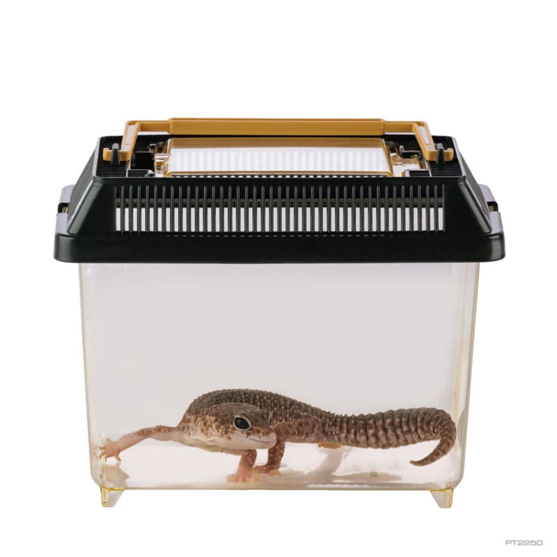 EXO TERRA FAUNARIUM PLASTICO MEDIUM 30X19.5X20.5CM4