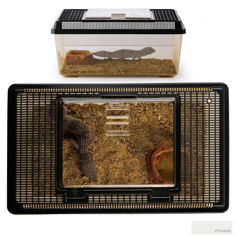 EXO TERRA FAUNARIUM PLASTICO 36X21X16CM2